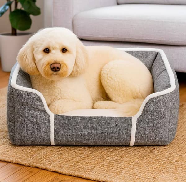 Cama Mascota con almohadón desmontable 55x45